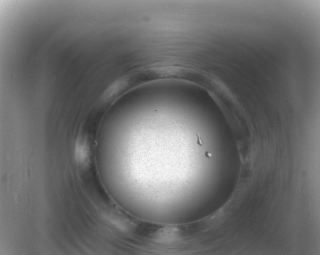 X0000082720124200702021455