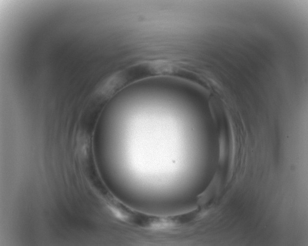 X0000082720125200702021455