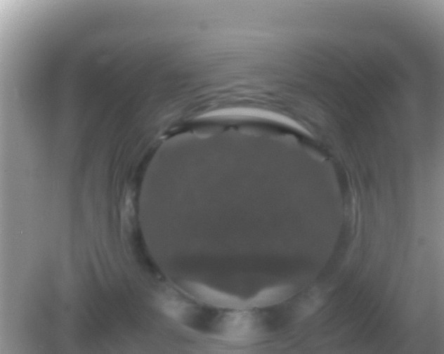 X0000082720127200702021455