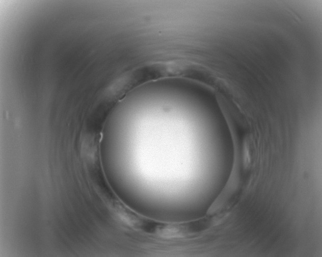 X0000082720129200702021455