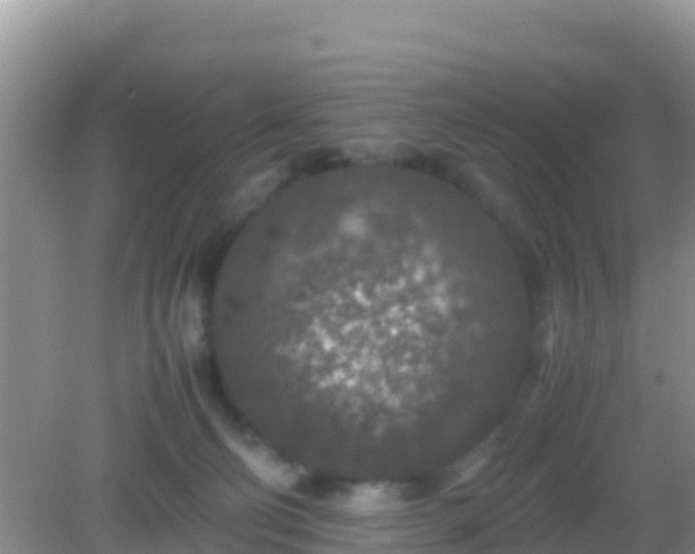 X0000082720130200702021455