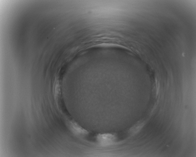 X0000082720137200702021455