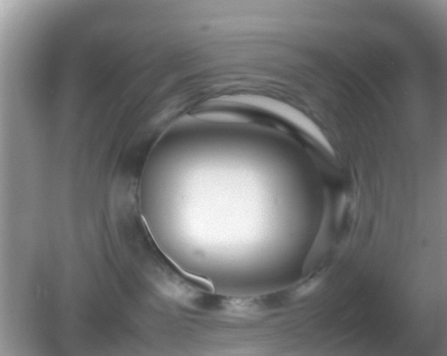 X0000082720141200702021455