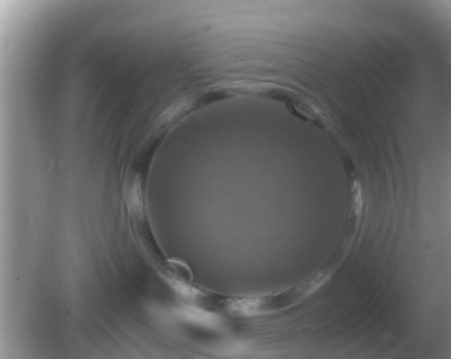 X0000082720143200702021455