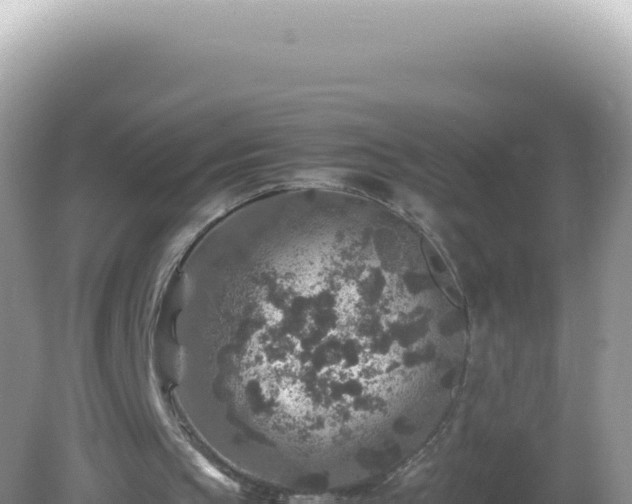 X0000082720145200702021454