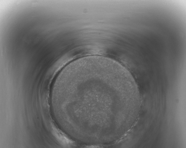 X0000082720146200702021454