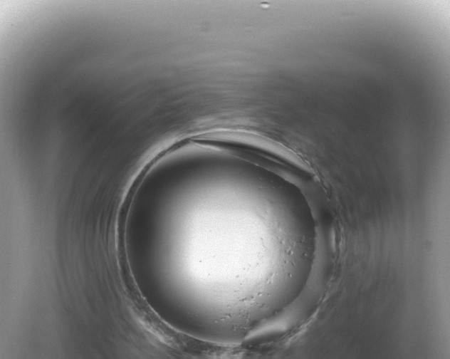 X0000082720148200702021454