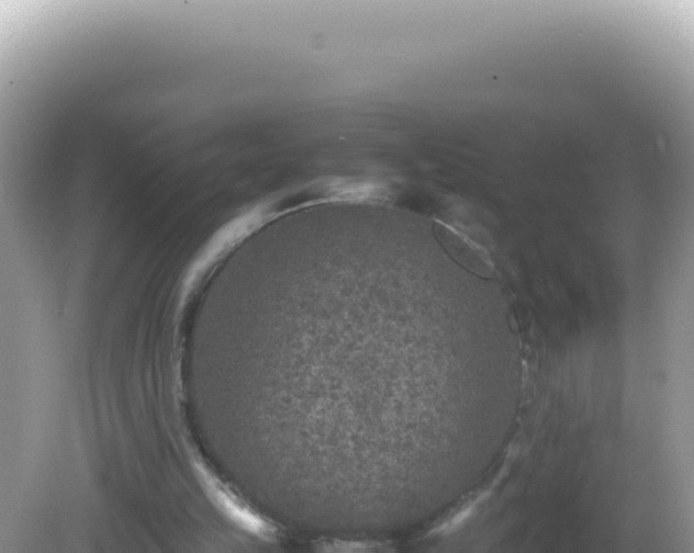 X0000082720149200702021454