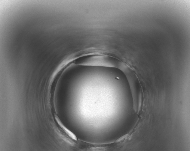 X0000082720150200702021454