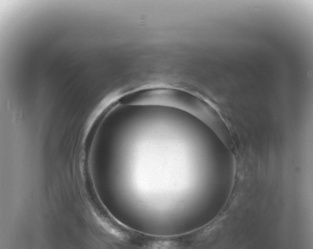 X0000082720152200702021454