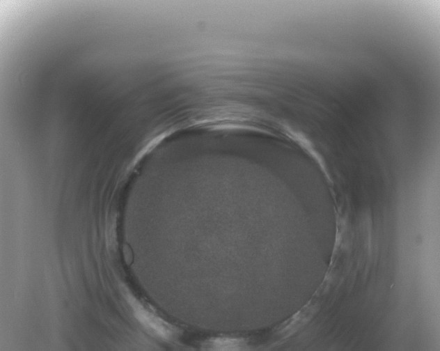 X0000082720154200702021454