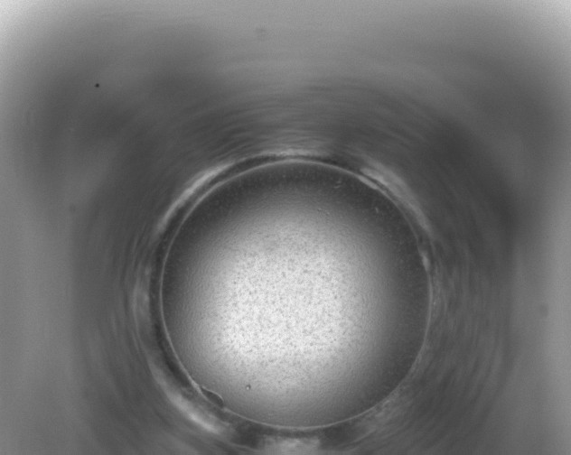 X0000082720155200702021454