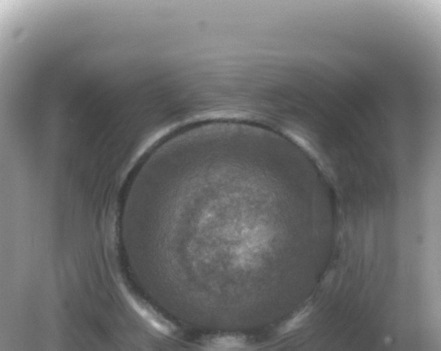 X0000082720156200702021454