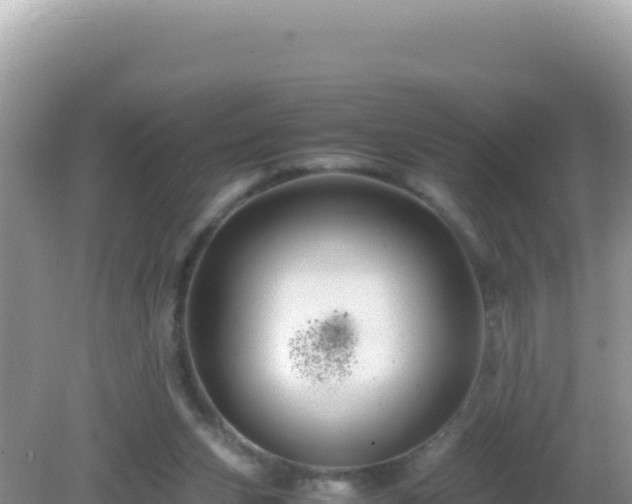 X0000082720159200702021454