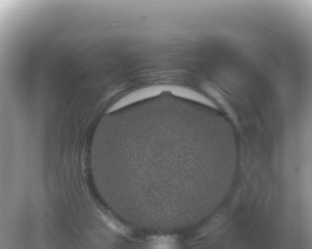 X0000082720161200702021454