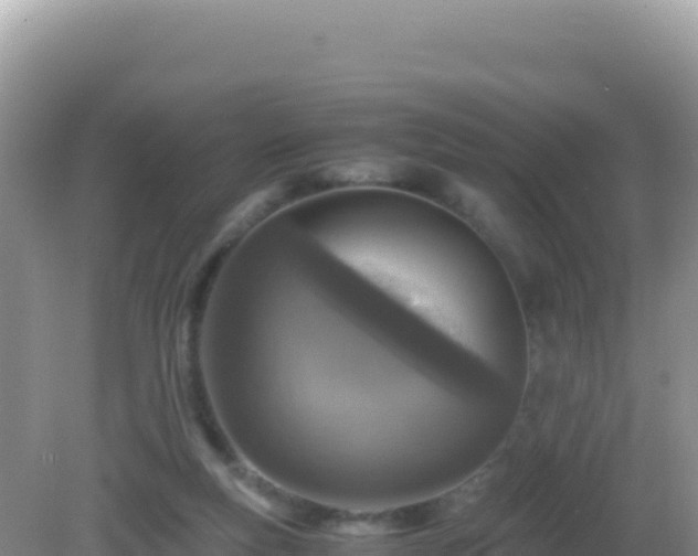 X0000082720163200702021454