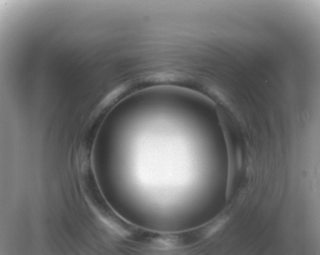 X0000082720164200702021454