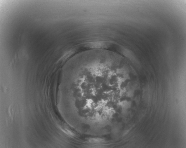 X0000082720165200702021454