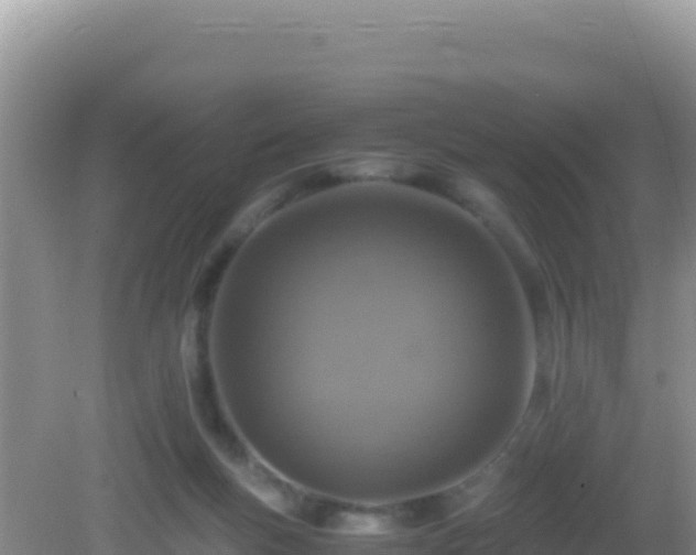 X0000082720167200702021454