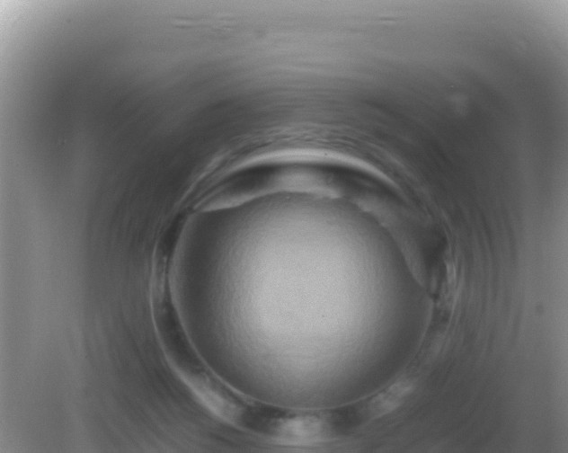 X0000082720168200702021454