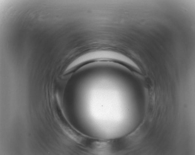 X0000082720170200702021454