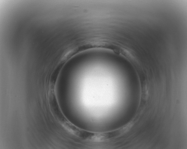 X0000082720172200702021454