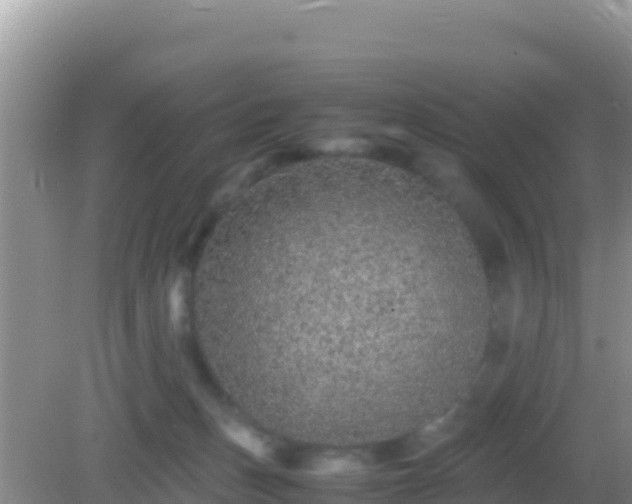 X0000082720175200702021454