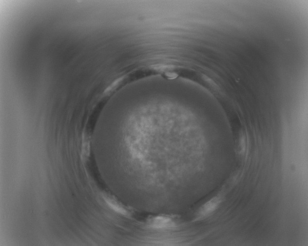 X0000082720180200702021454