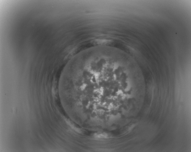 X0000082720181200702021454