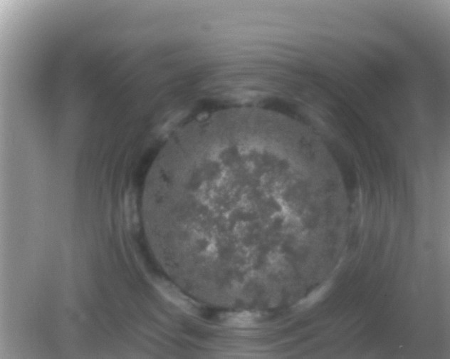 X0000082720182200702021454