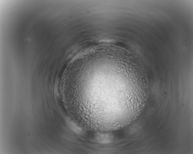 X0000082720185200702021454