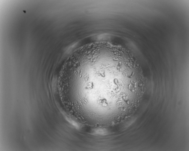 X0000082720189200702021454