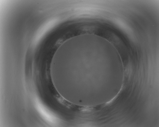 X0000082720191200702021454