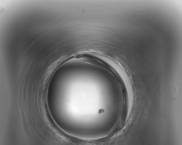 X0000082720193200702021454