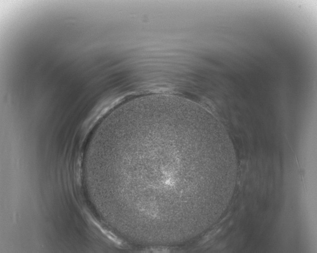 X0000082720194200702021454