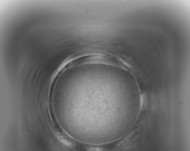 X0000082720195200702021454