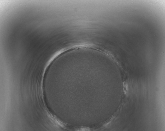 X0000082720196200702021454