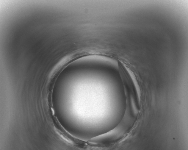 X0000082720197200702021454