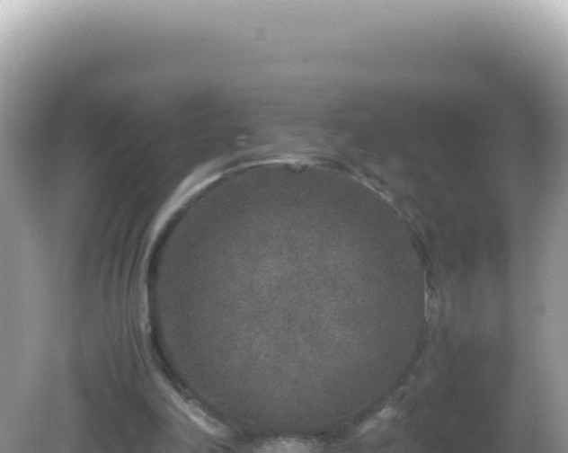 X0000082720198200702021454