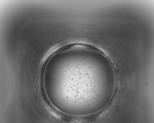 X0000082720199200702021454