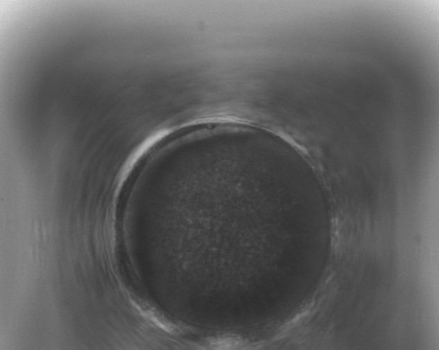 X0000082720200200702021454