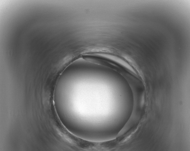 X0000082720201200702021454