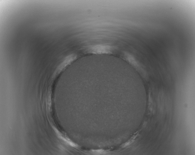 X0000082720202200702021454