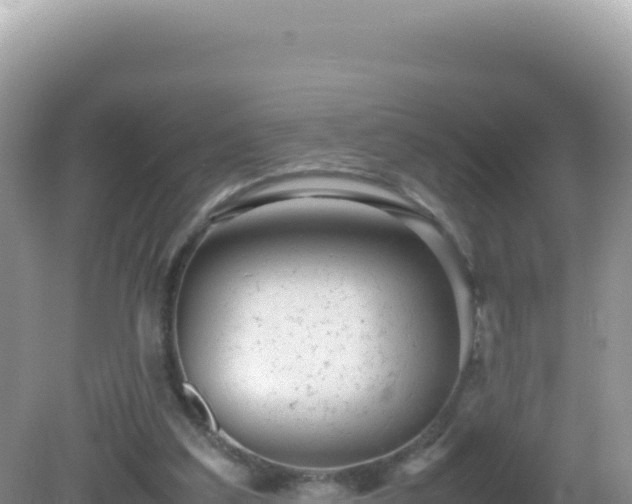 X0000082720203200702021454