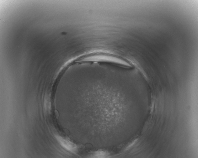 X0000082720204200702021454