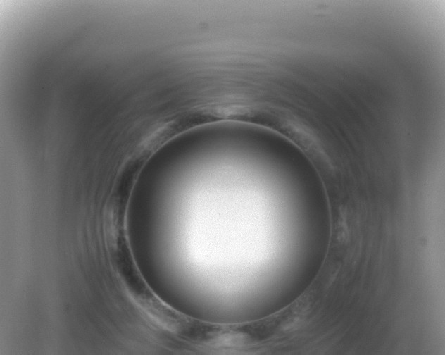 X0000082720210200702021453