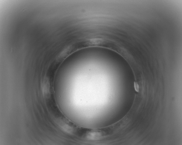 X0000082720220200702021453