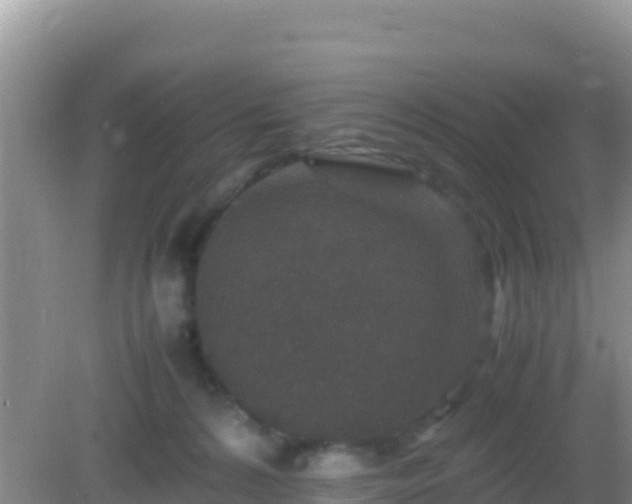 X0000082720224200702021453