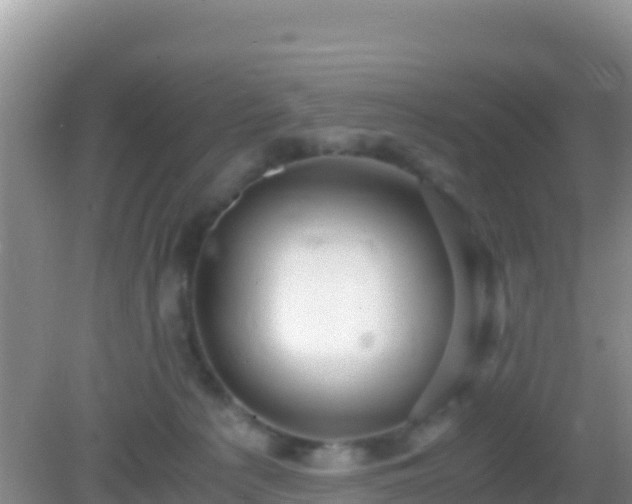 X0000082720225200702021453