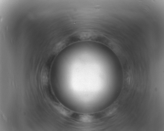 X0000082720226200702021453